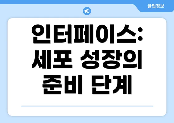 인터페이스: 세포 성장의 준비 단계