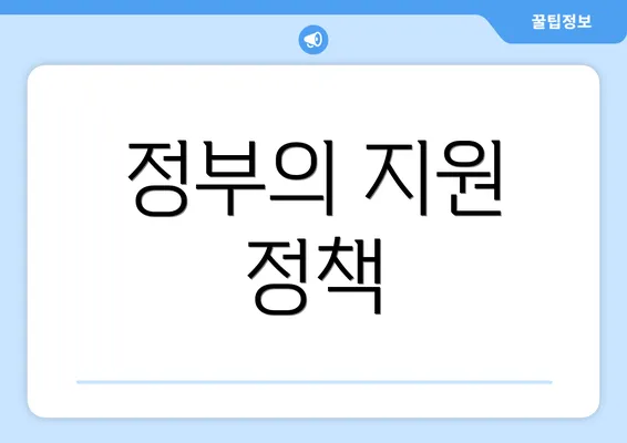 정부의 지원 정책