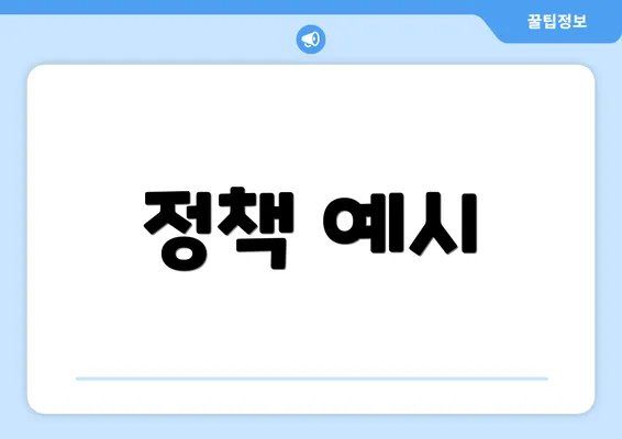 정책 예시