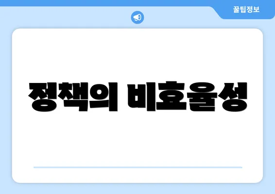 정책의 비효율성