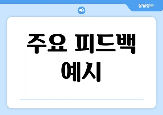 주요 피드백 예시