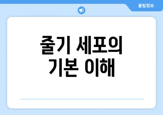 줄기 세포의 기본 이해