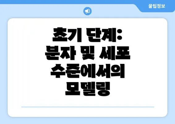 초기 단계: 분자 및 세포 수준에서의 모델링