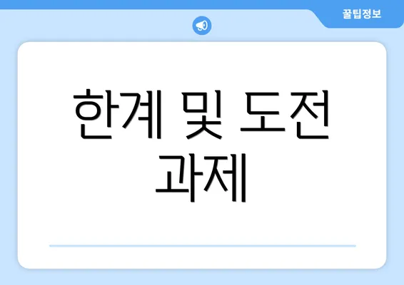 한계 및 도전 과제