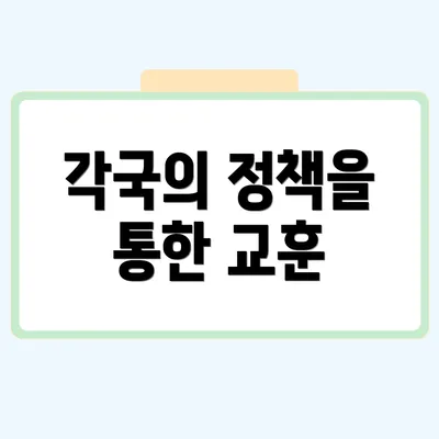각국의 정책을 통한 교훈