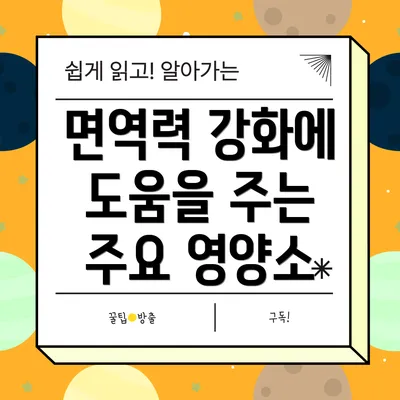 면역력 강화에 도움을 주는 주요 영양소