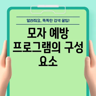 모자 예방 프로그램의 구성 요소