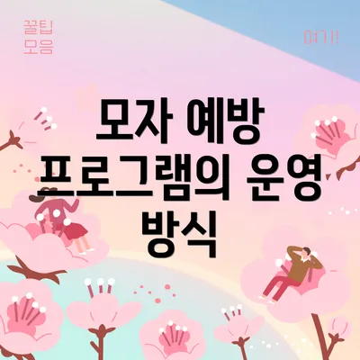 모자 예방 프로그램의 운영 방식