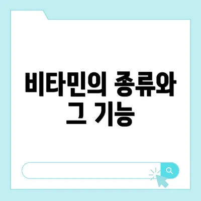 비타민의 종류와 그 기능