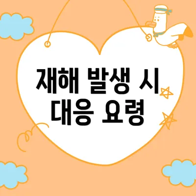 재해 발생 시 대응 요령