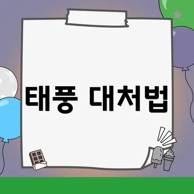 태풍 대처법