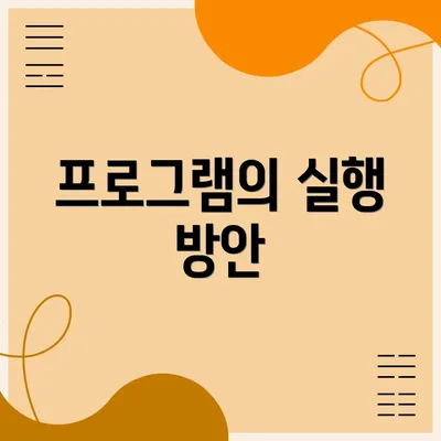 프로그램의 실행 방안