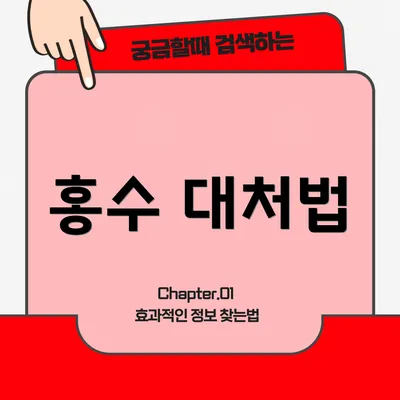 홍수 대처법